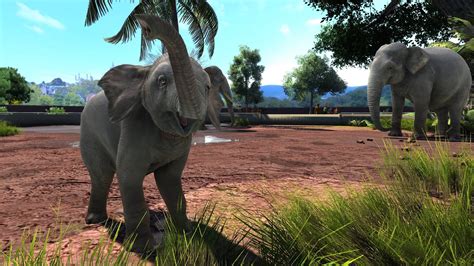 Zoo Tycoon: Build Your Dream Zoo From Scratch And Unleash the Power of Conservation!